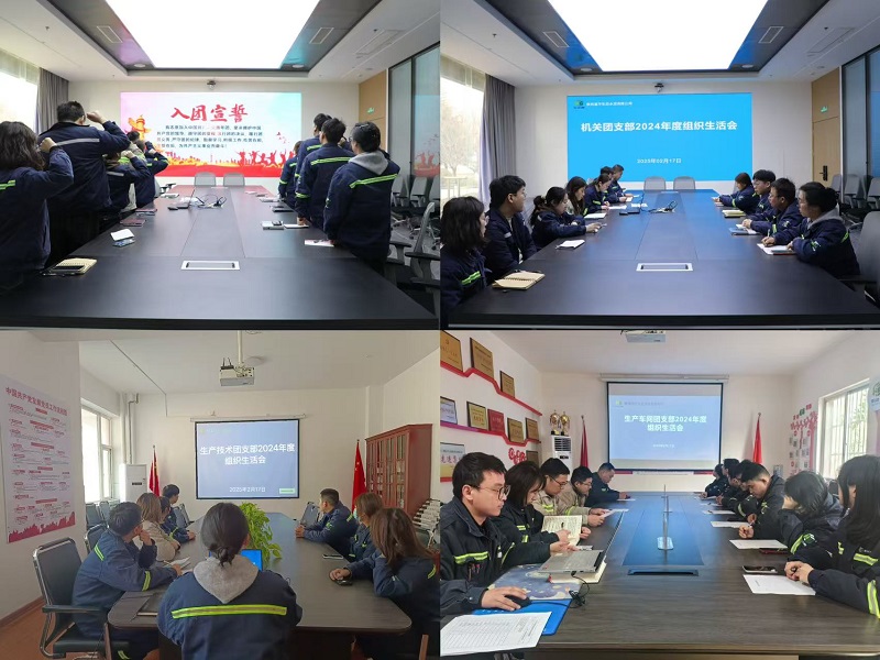 富平公司團(tuán)委開展2024年度組織生活會和團(tuán)員教育評議工作